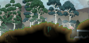 forest_biome